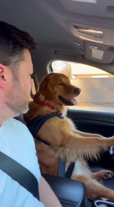 Sunny is done driving. His judgement is highly questionable.🤨