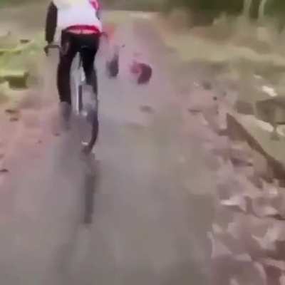 Fuck you, that&rsquo;s why