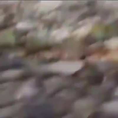 Факинг Нэйшнэл Джиографик! Прямо около дома.
