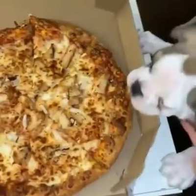 Pizzaaa pizaaaa