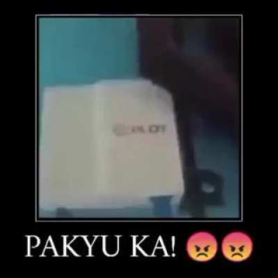 Pldt fibir