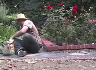 Blursed_gardening