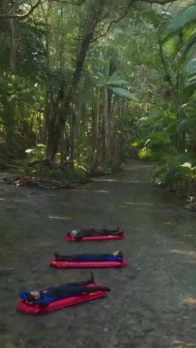 In Queensland Australia, you can float through the world's oldest rainforest on blow-up rafts