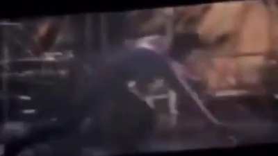 Nooo ella no es Gwen :'v