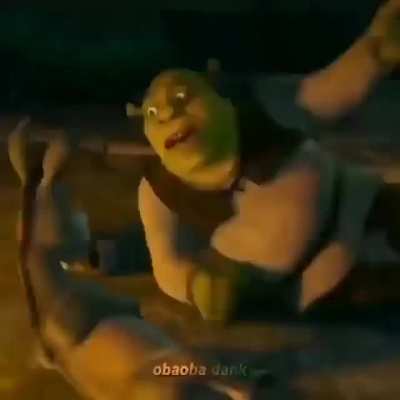 Las pel&iacute;culas de shrek resumidas en 21 segundos :)