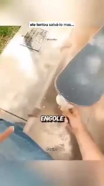 Uma hist&oacute;ria incr&iacute;vel