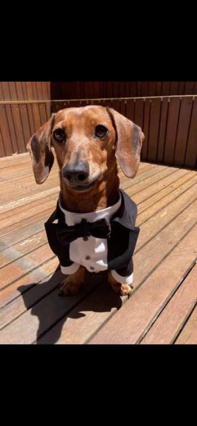 business 