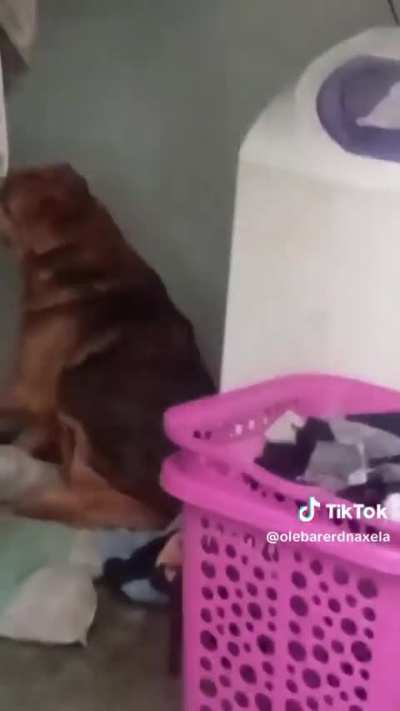 Ta batendo uma n&eacute; seu safado?