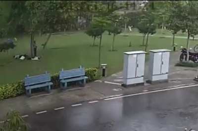 HMFT after lightning strikes multiple people under the same tree