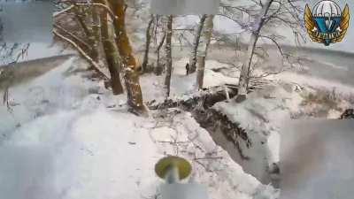 VDV using fiber-optic FPV drones hitting Ukrainian soldiers various in forest belts