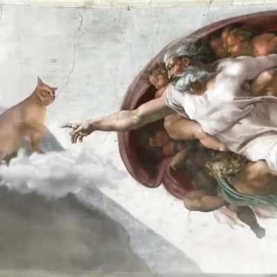 Jesus cat😼