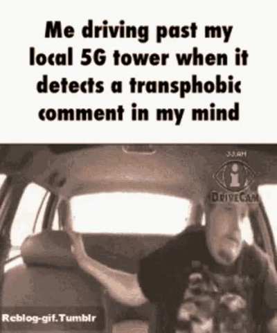 Shungite gang