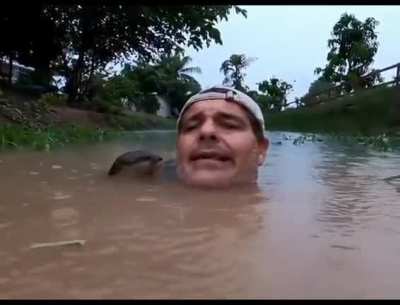 🔥man greeted by otter in water