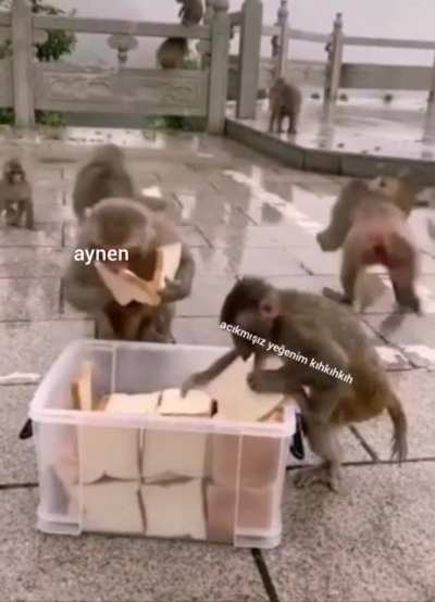 AKP mitinginde bedava d&ouml;ner yemek istemişimdir