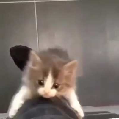 &amp;lt;3