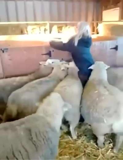 Silenced by the Lambs