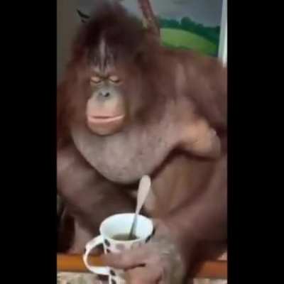 Buenos días
