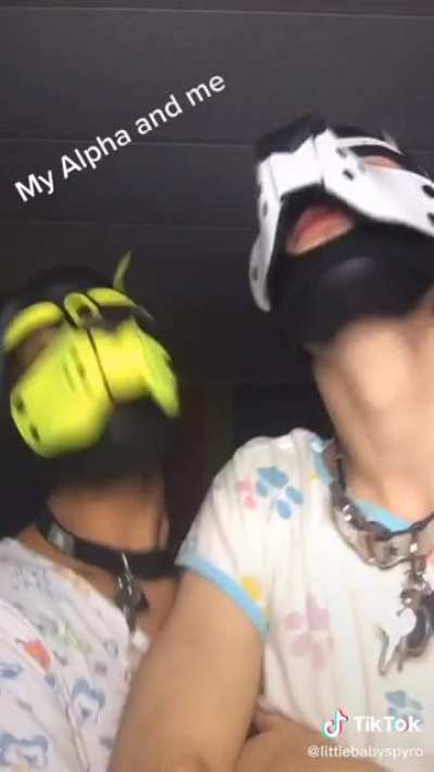 I can sorta understand furries, but these masks are honestly kinda creepy. Also apparently they wear diapers too.