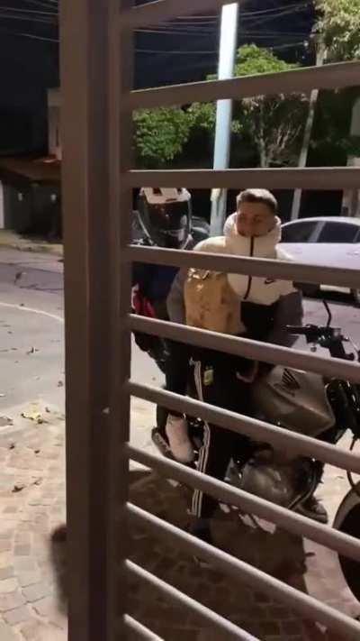 cursed family