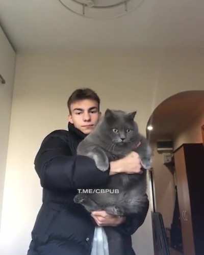 Nice kitty