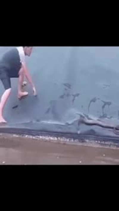 Intresting