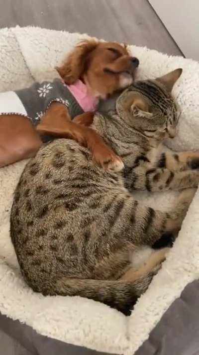 Friends forever