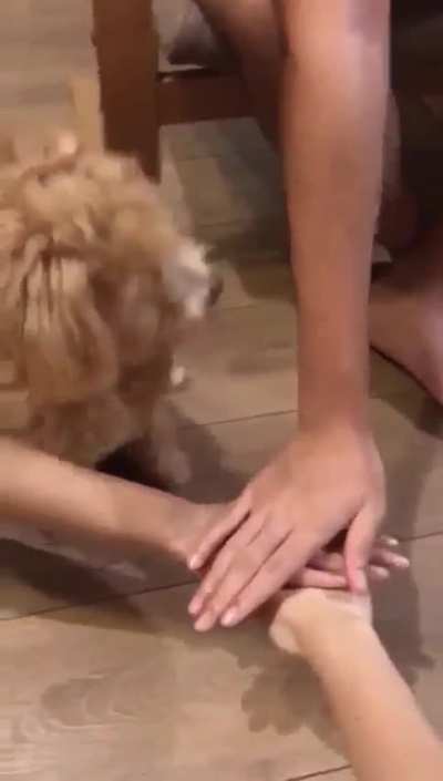 All for one... and one for all
