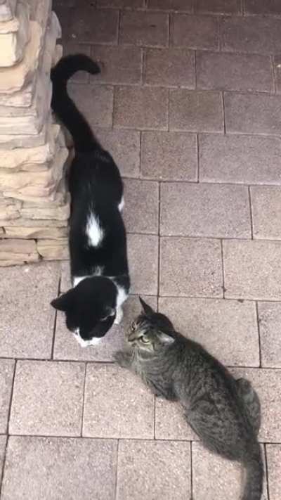 Mother and daughter