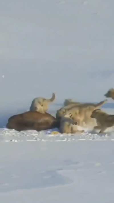 Just gotta be faster than your slowest friend&hellip;