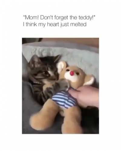 Mom! Don&rsquo;t forget my teddy 🧸