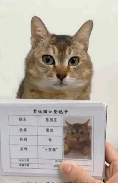 ID