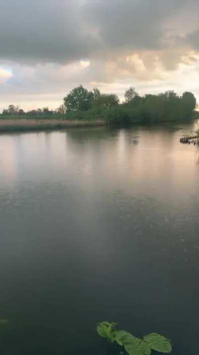 Rain, rivers and bird sounds (NL