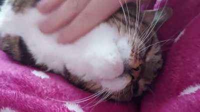 "You're awake now? Can I have a cuddle?"