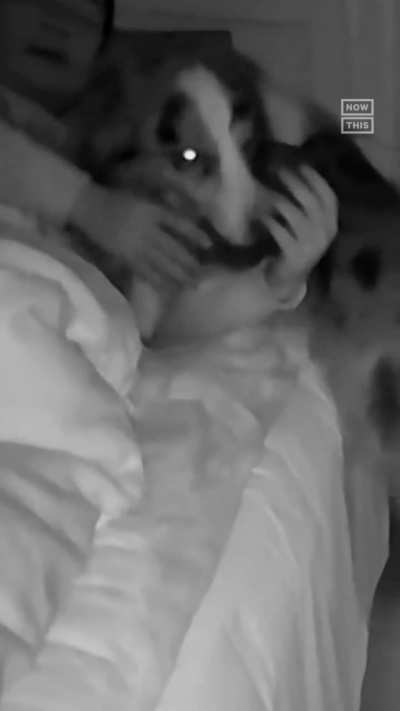 Sleeping man gets a surprise from his dog