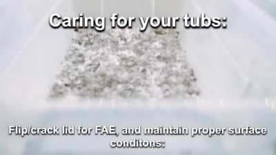 🍄 VIDEO for Part 3: Spawning to Bulk. See Comments for links and details.