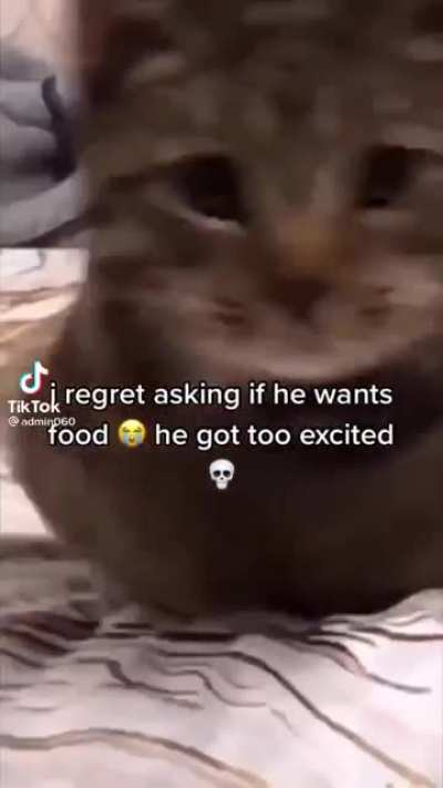 Knocked the fuck out by pussy