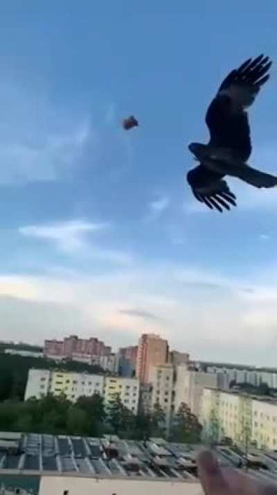 Кушай дорогой