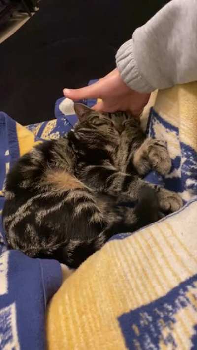 I can&rsquo;t stop watching the squish