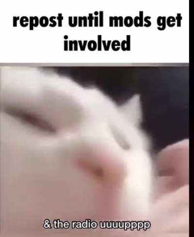 I don't know how much longer this will go on