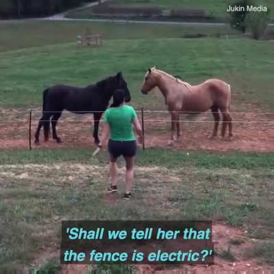 oldie but a goodie vid