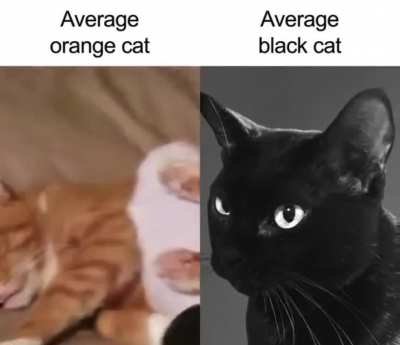 love them both man