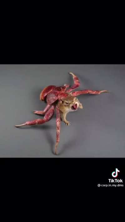 Bad taxidermy