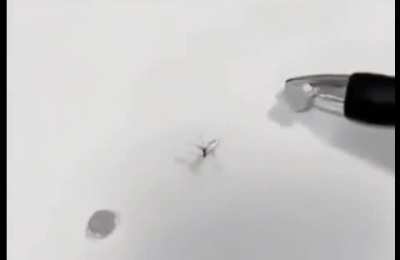 Oh no.. AA-