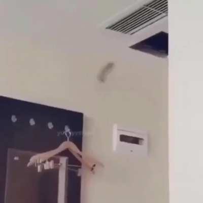 big trauma