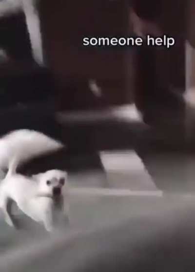 He&rsquo;s not holding back