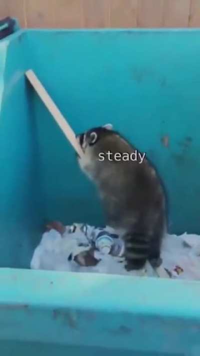 This is one of my all time favourite Reddit videos. Cha cha real smooth