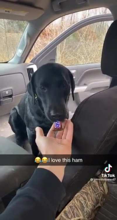 How'd that get in there?