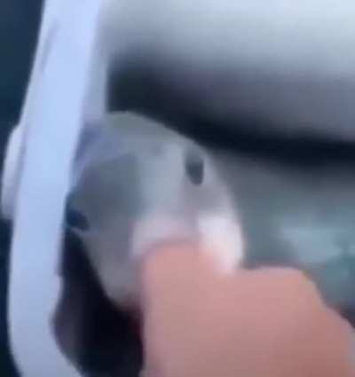 n&atilde;o foi uma boa ideia cara