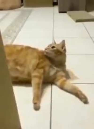 muaa