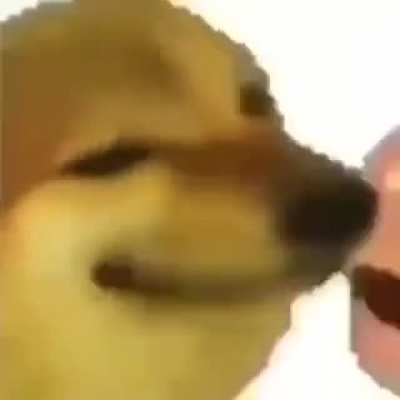 cheemsburger